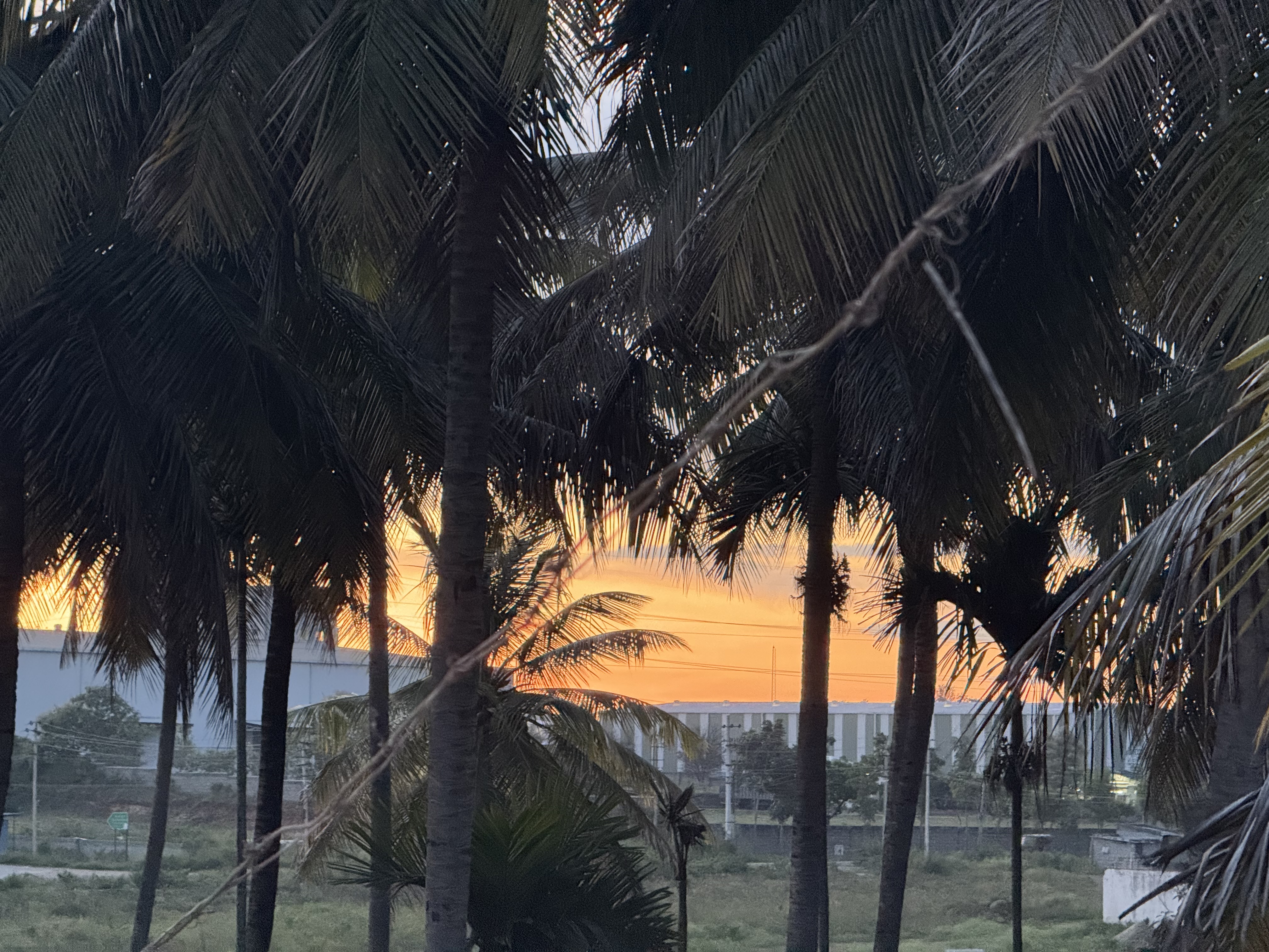 Coconut Grove Studio - Photo 2