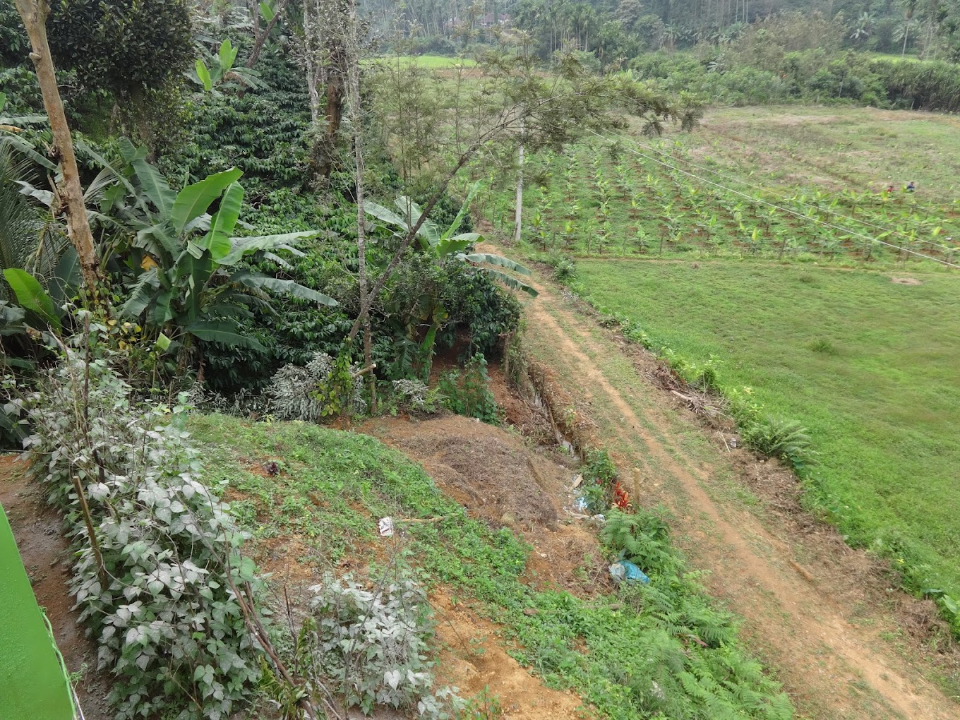 Plantation Hideaway - Photo 2